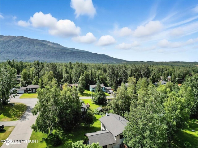 10826 Goodpaster Cir, Eagle River, AK 99577 - photo 48