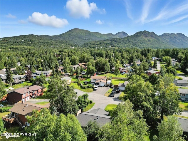 10826 Goodpaster Cir, Eagle River, AK 99577 - photo 49