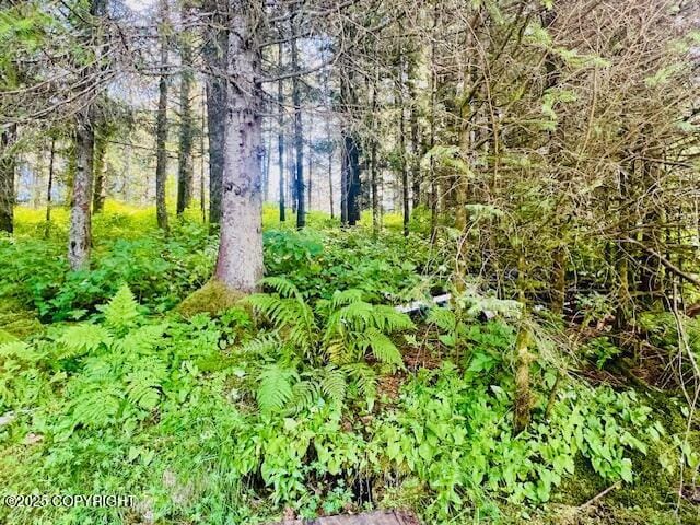 1716 Selief Ln, Kodiak, AK 99615 - photo 19