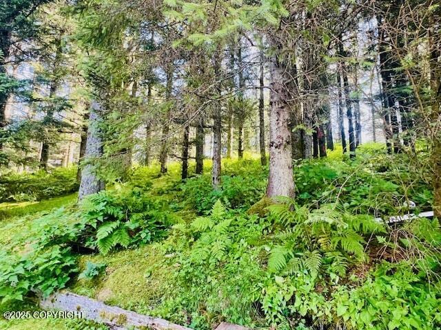 1716 Selief Ln, Kodiak, AK 99615 - photo 20
