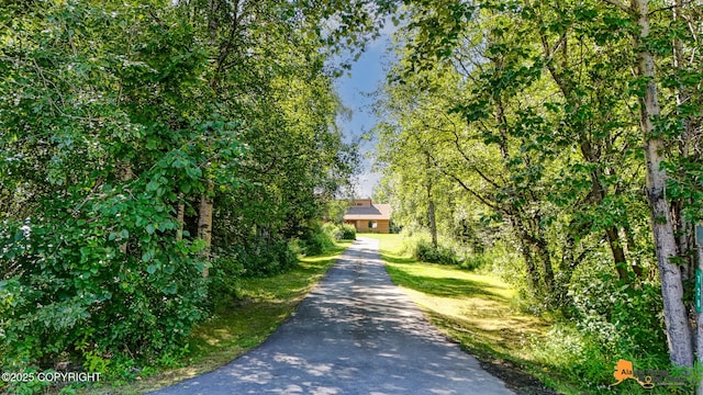 720 W Selina Ln, Wasilla, AK 99654 - photo 4