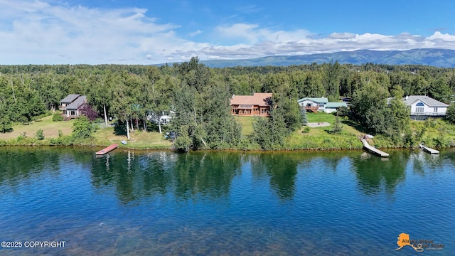 720 W Selina Ln, Wasilla, AK 99654 - photo 11