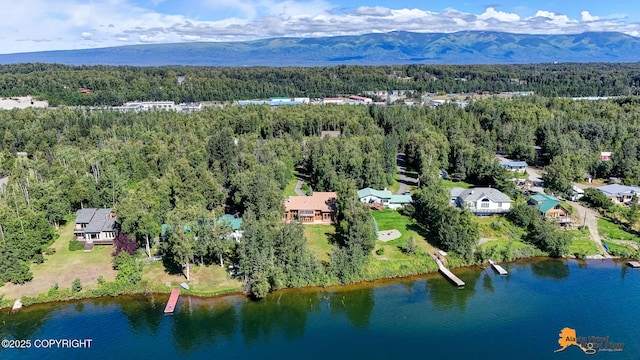 720 W Selina Ln, Wasilla, AK 99654 - photo 12