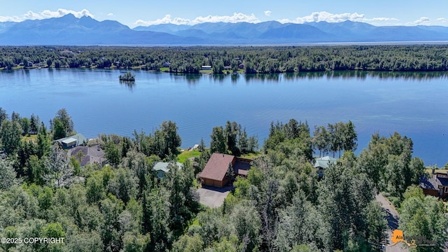 720 W Selina Ln, Wasilla, AK 99654 - photo 13