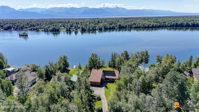 720 W Selina Ln, Wasilla, AK 99654 - photo 58