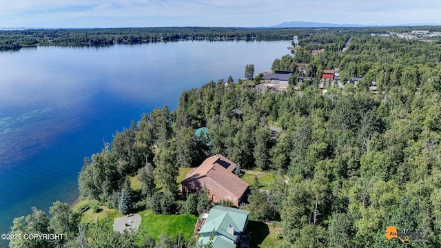 720 W Selina Ln, Wasilla, AK 99654 - photo 59