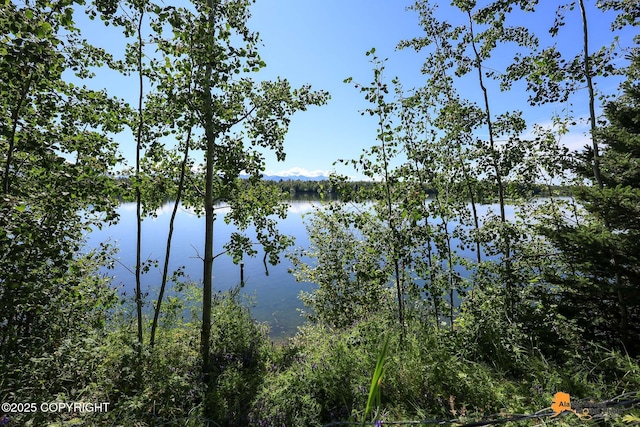 720 W Selina Ln, Wasilla, AK 99654 - photo 69