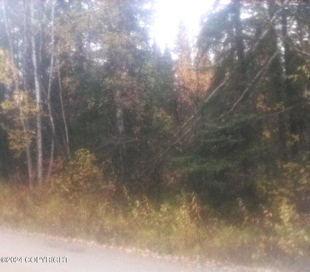 TL217 Old Valdez Trl, Salcha, AK 99714 - photo 3
