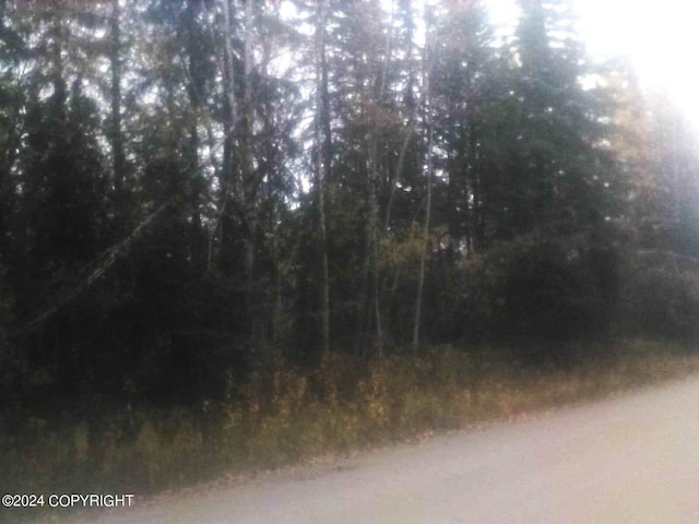 TL217 Old Valdez Trl, Salcha, AK 99714 - photo 1