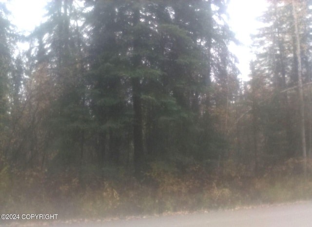 TL217 Old Valdez Trl, Salcha, AK 99714 - photo 2