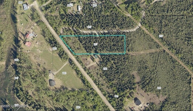 TL217 Old Valdez Trl, Salcha, AK 99714 - photo 6