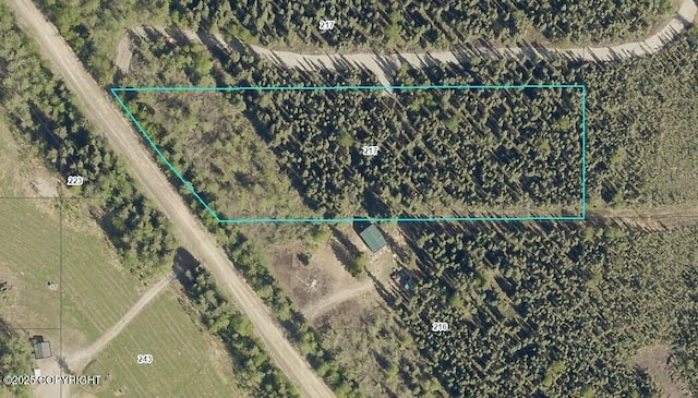 TL217 Old Valdez Trl, Salcha, AK 99714 - photo 5