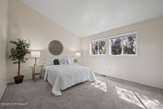 10515 Spindrift Loop, Anchorage, AK 99515 - photo 31