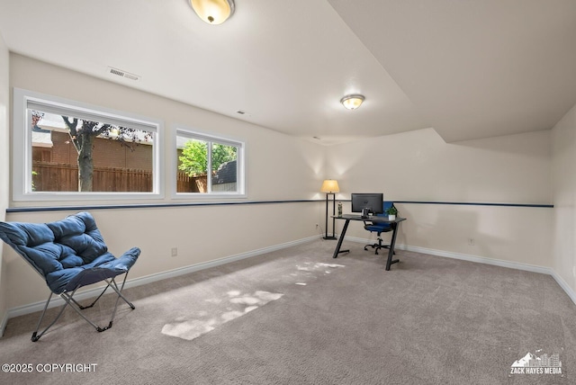 10515 Spindrift Loop, Anchorage, AK 99515 - photo 46