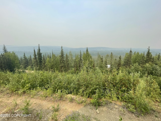 3125 Chena Ester Ditch Rd, Fairbanks, AK 99709 - photo 24