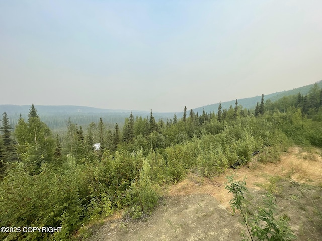 3125 Chena Ester Ditch Rd, Fairbanks, AK 99709 - photo 25