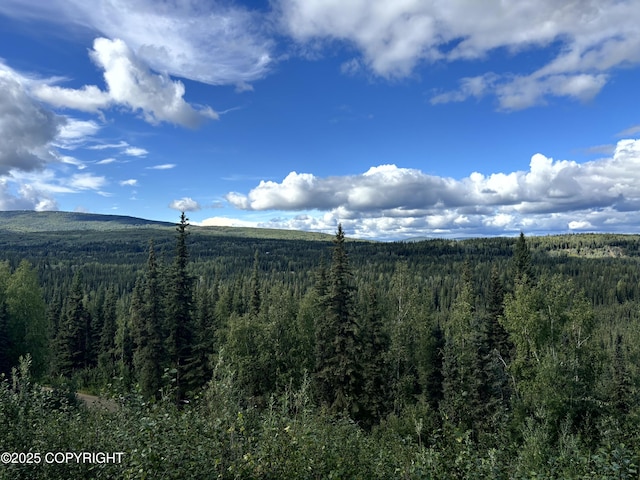 3125 Chena Ester Ditch Rd, Fairbanks, AK 99709 - photo 4