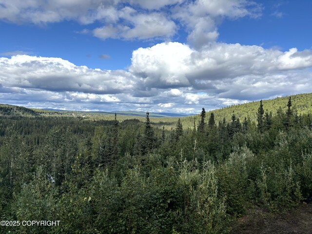 3125 Chena Ester Ditch Rd, Fairbanks, AK 99709 - photo 44