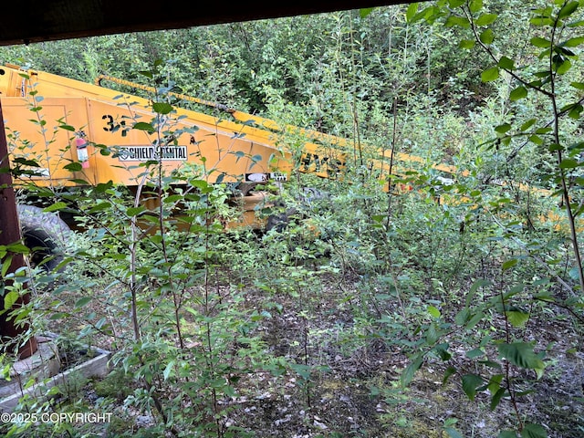 3125 Chena Ester Ditch Rd, Fairbanks, AK 99709 - photo 46
