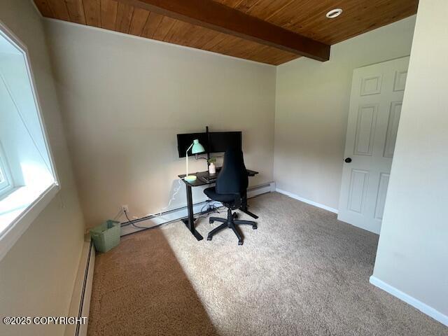 819 W 76th Ave, Anchorage, AK 99518 - photo 25