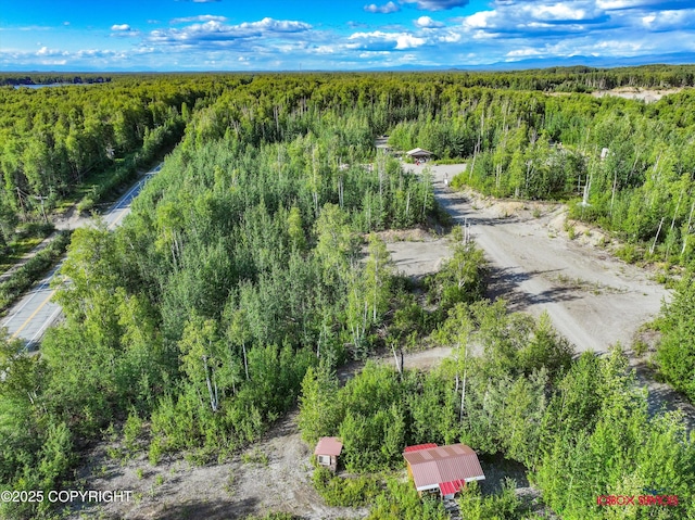 24777 W Honeybee Lake Dr, Willow, AK 99688 - photo 4