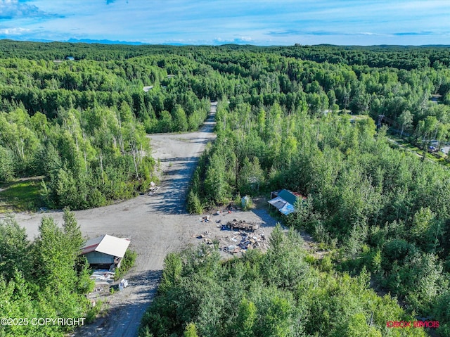 24777 W Honeybee Lake Dr, Willow, AK 99688 - photo 6