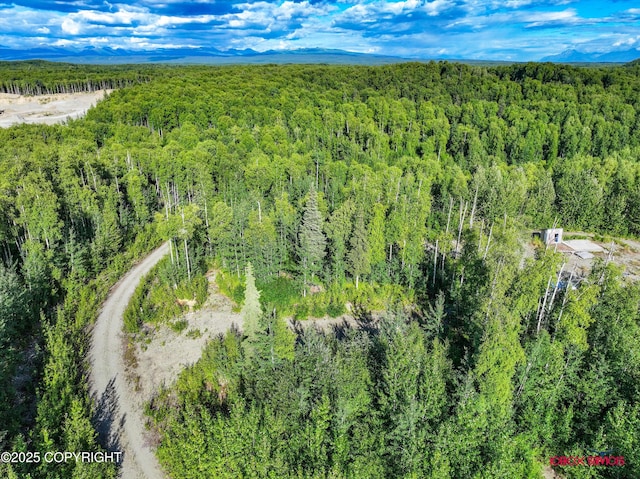 24777 W Honeybee Lake Dr, Willow, AK 99688 - photo 7