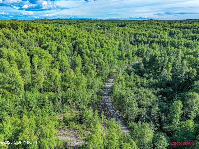 24777 W Honeybee Lake Dr, Willow, AK 99688 - photo 8