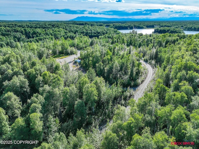 24777 W Honeybee Lake Dr, Willow, AK 99688 - photo 9