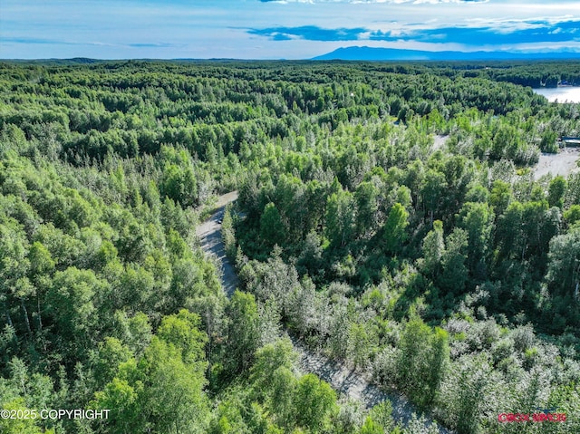 24777 W Honeybee Lake Dr, Willow, AK 99688 - photo 10
