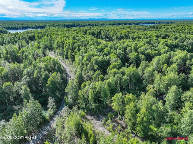 24777 W Honeybee Lake Dr, Willow, AK 99688 - photo 11