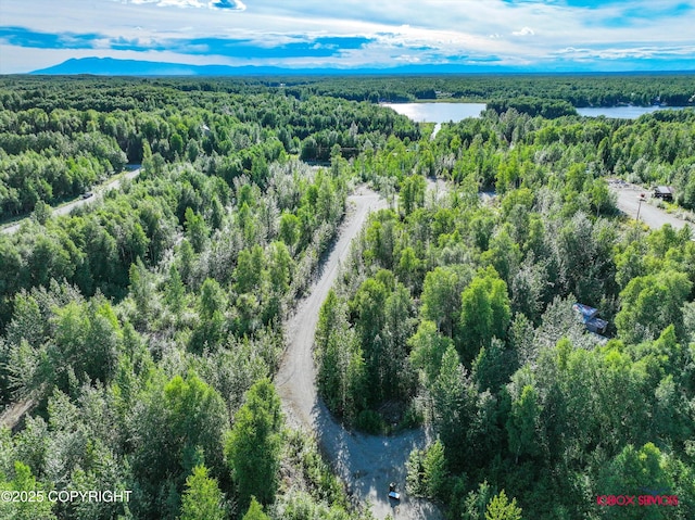 24777 W Honeybee Lake Dr, Willow, AK 99688 - photo 12