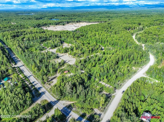 24777 W Honeybee Lake Dr, Willow, AK 99688 - photo 13
