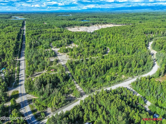 24777 W Honeybee Lake Dr, Willow, AK 99688 - photo 14