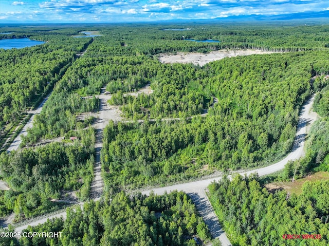 24777 W Honeybee Lake Dr, Willow, AK 99688 - photo 15