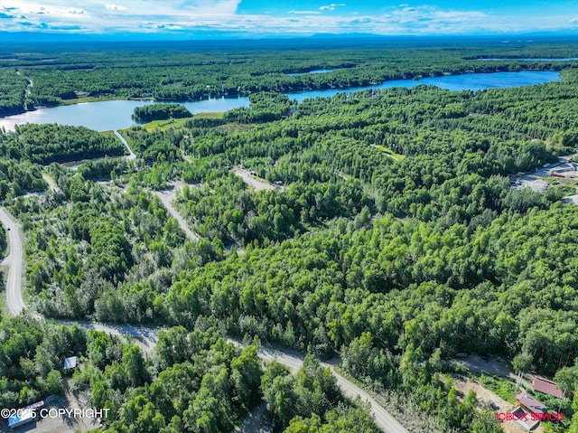 24777 W Honeybee Lake Dr, Willow, AK 99688 - photo 18