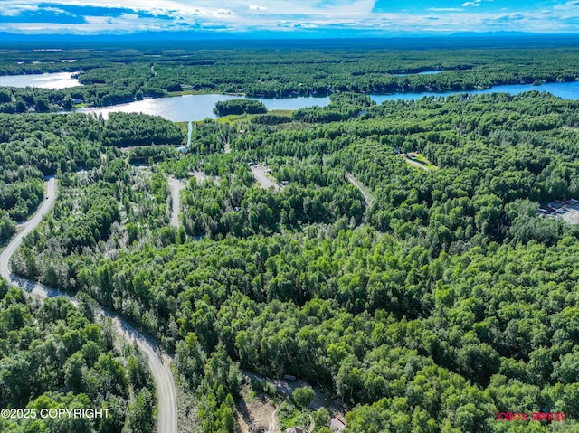 24777 W Honeybee Lake Dr, Willow, AK 99688 - photo 19