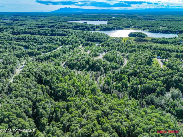 24777 W Honeybee Lake Dr, Willow, AK 99688 - photo 20
