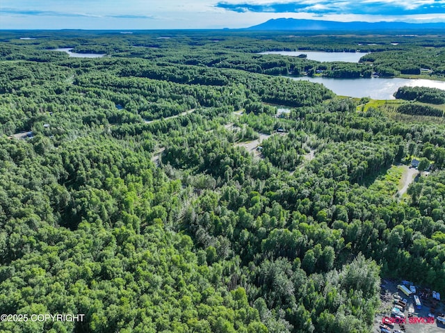 24777 W Honeybee Lake Dr, Willow, AK 99688 - photo 21