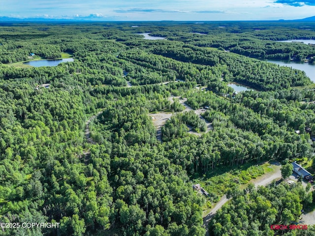 24777 W Honeybee Lake Dr, Willow, AK 99688 - photo 23