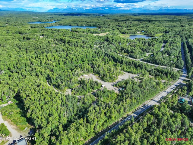24777 W Honeybee Lake Dr, Willow, AK 99688 - photo 24