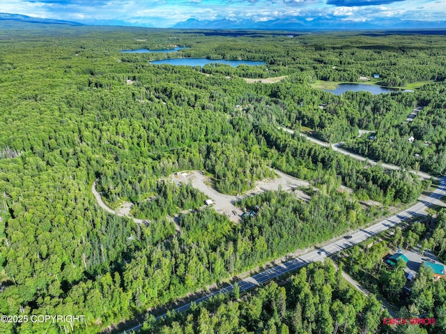 24777 W Honeybee Lake Dr, Willow, AK 99688 - photo 25