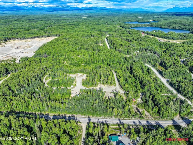 24777 W Honeybee Lake Dr, Willow, AK 99688 - photo 26