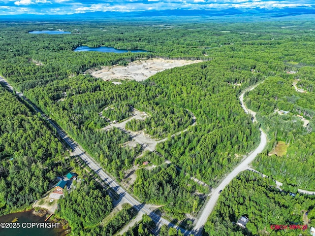 24777 W Honeybee Lake Dr, Willow, AK 99688 - photo 29