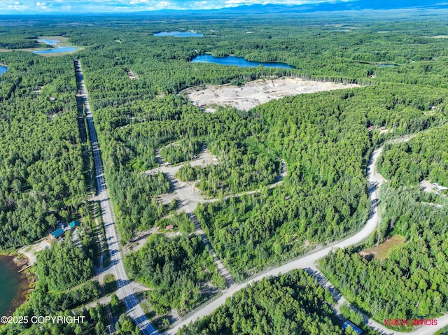 24777 W Honeybee Lake Dr, Willow, AK 99688 - photo 31