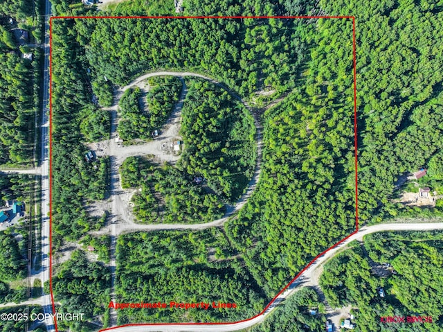 24777 W Honeybee Lake Dr, Willow, AK 99688 - photo 1