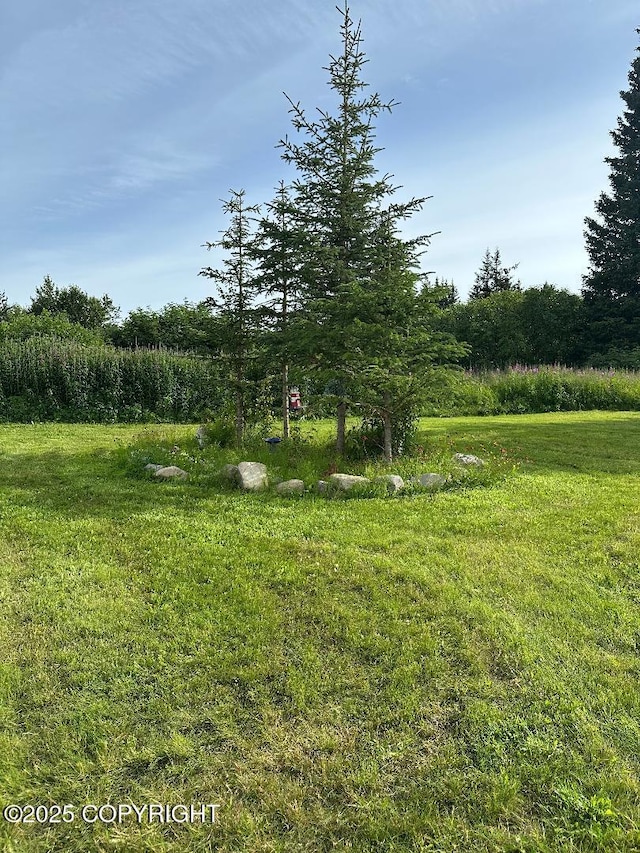 64900 Nikolaevsk Rd, Anchor Point, AK 99556 - photo 10