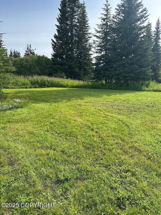64900 Nikolaevsk Rd, Anchor Point, AK 99556 - photo 11