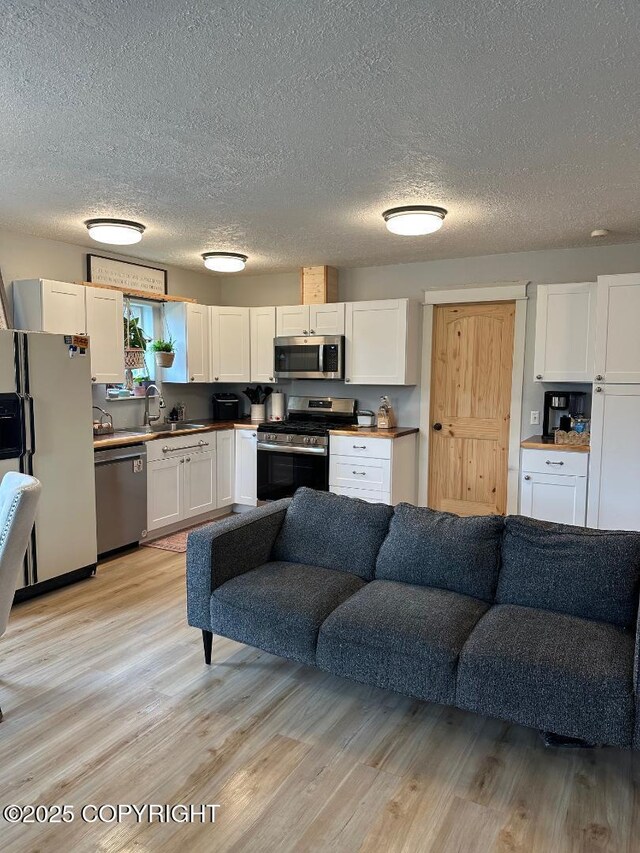 64900 Nikolaevsk Rd, Anchor Point, AK 99556 - photo 13