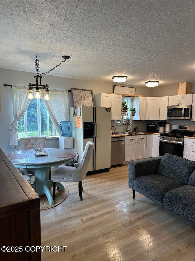 64900 Nikolaevsk Rd, Anchor Point, AK 99556 - photo 19